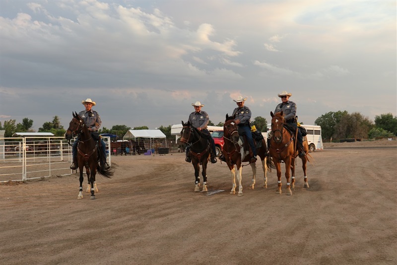 Weld County Sheriff's Posse - horses