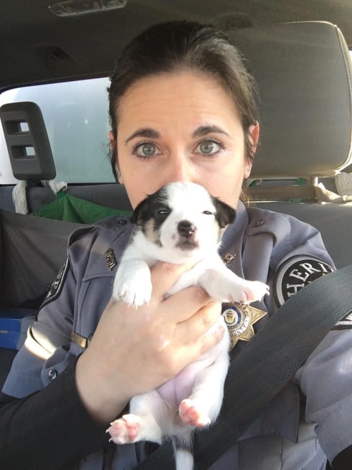 Deputy Perun and Puppy