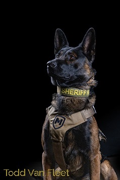 K9 Cowboy Website