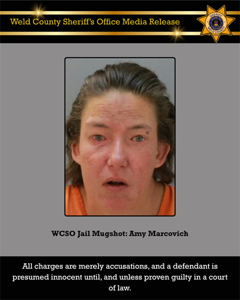 Press Release Visual A Marchovich 061026.png