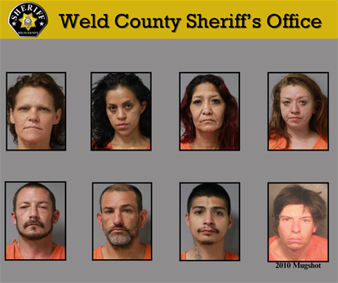 WCSO search warrant arrests from Aug. 20, 2024.